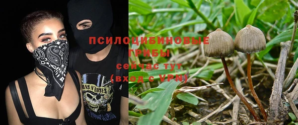 кокаин колумбия Абаза