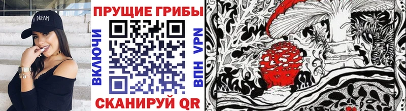 Галлюциногенные грибы Cubensis купить наркотик MEGA ссылка Шахунья